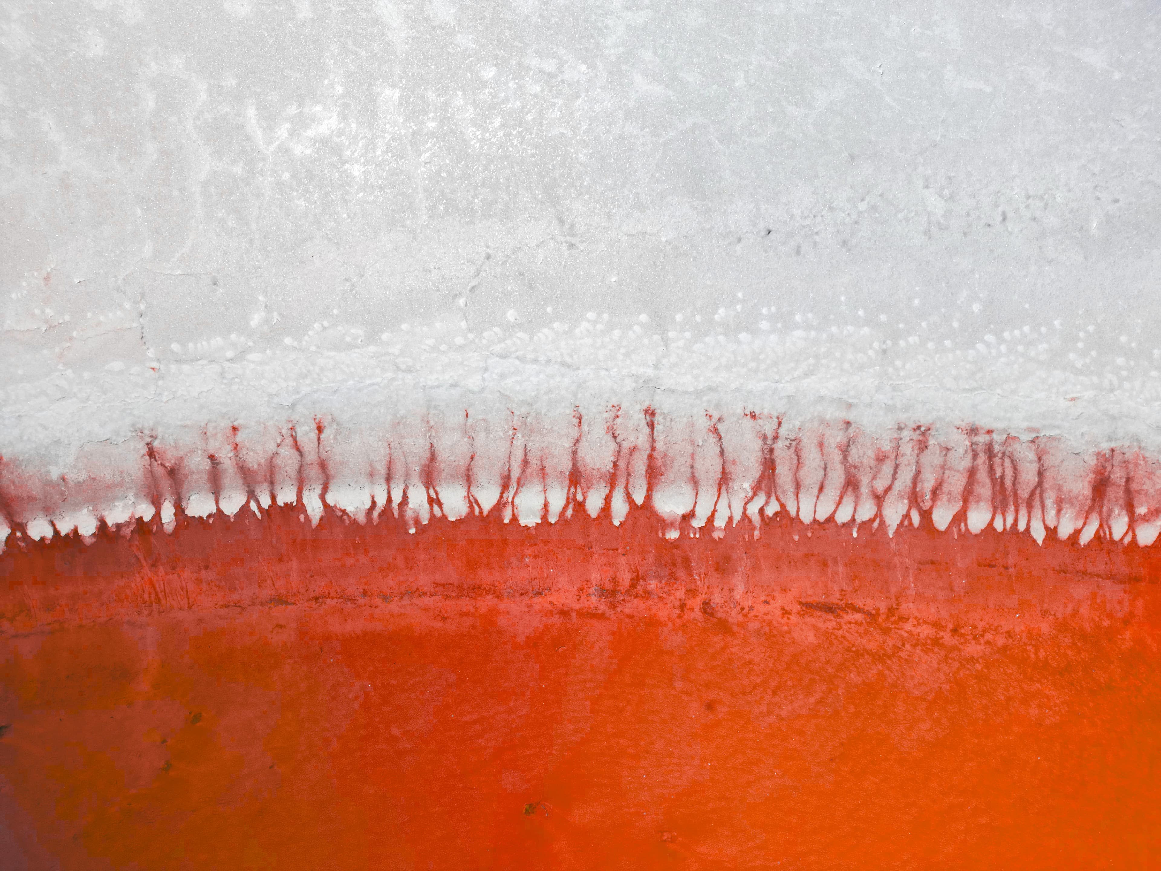 Red salt bleeding through a white salt crust in stark dendritic patterns