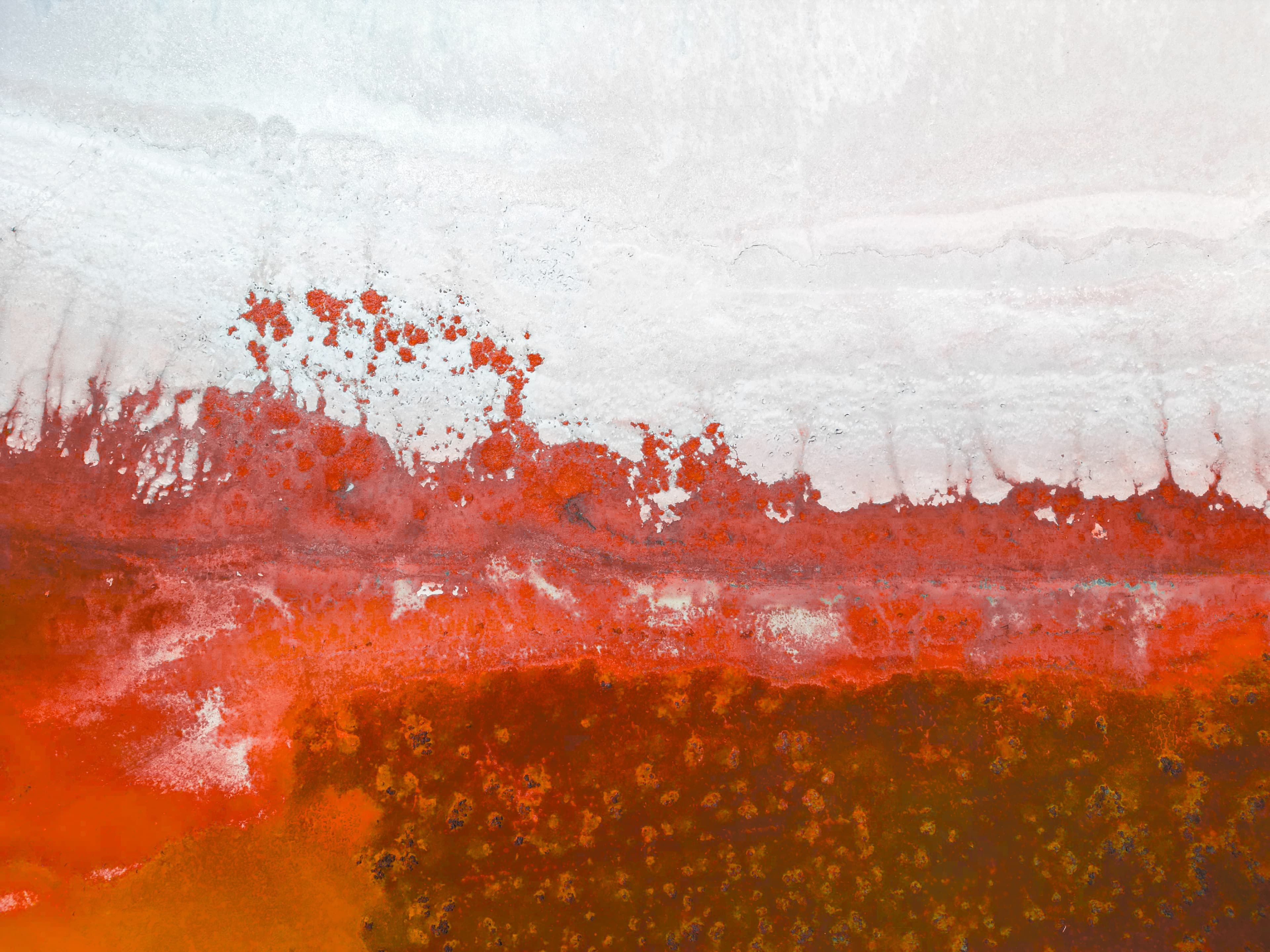 Organic rust-red blooms erupting through a white salt crust