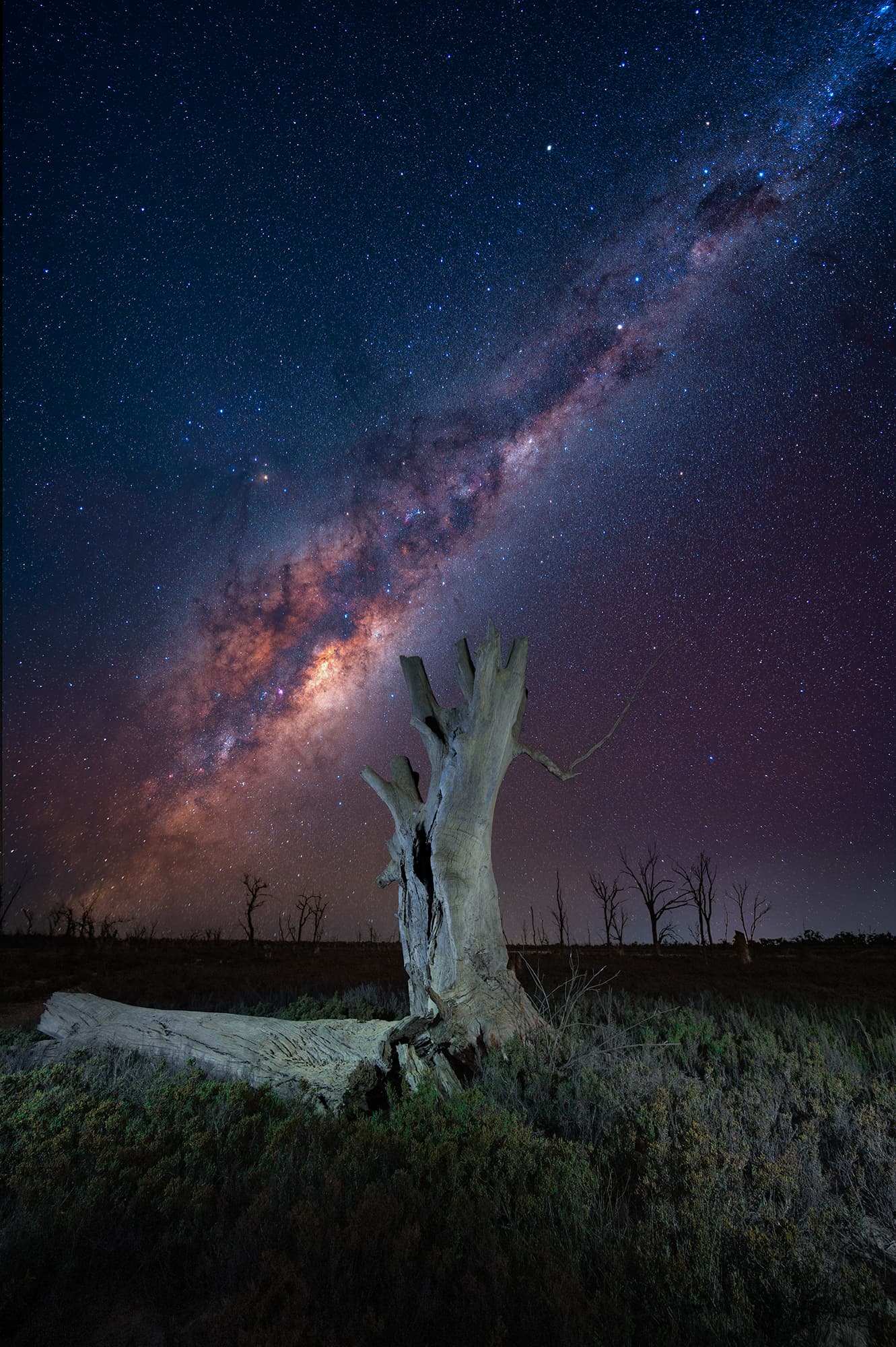 Night sky stars over remote Australian landscape