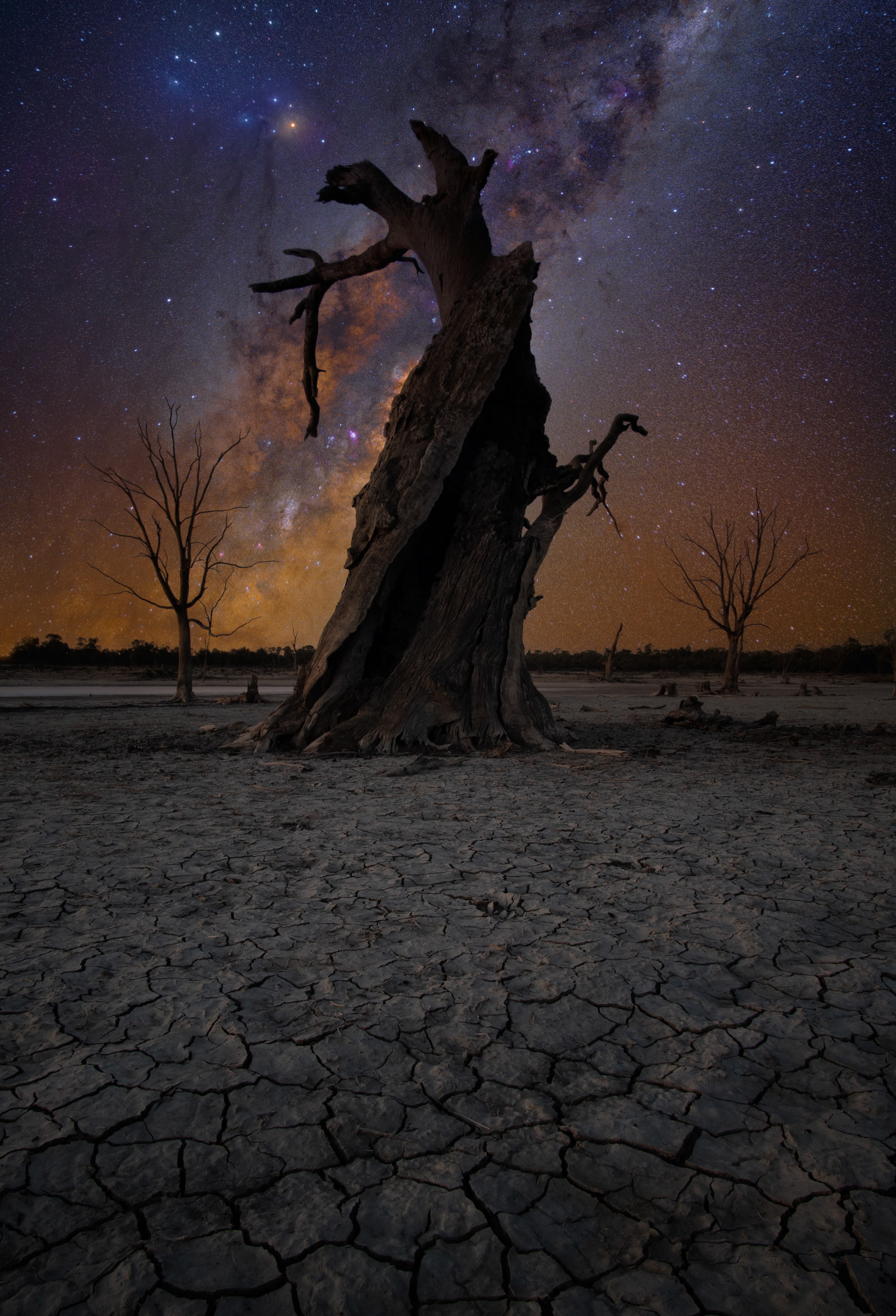 Stars and moonlight over the darkened landscape