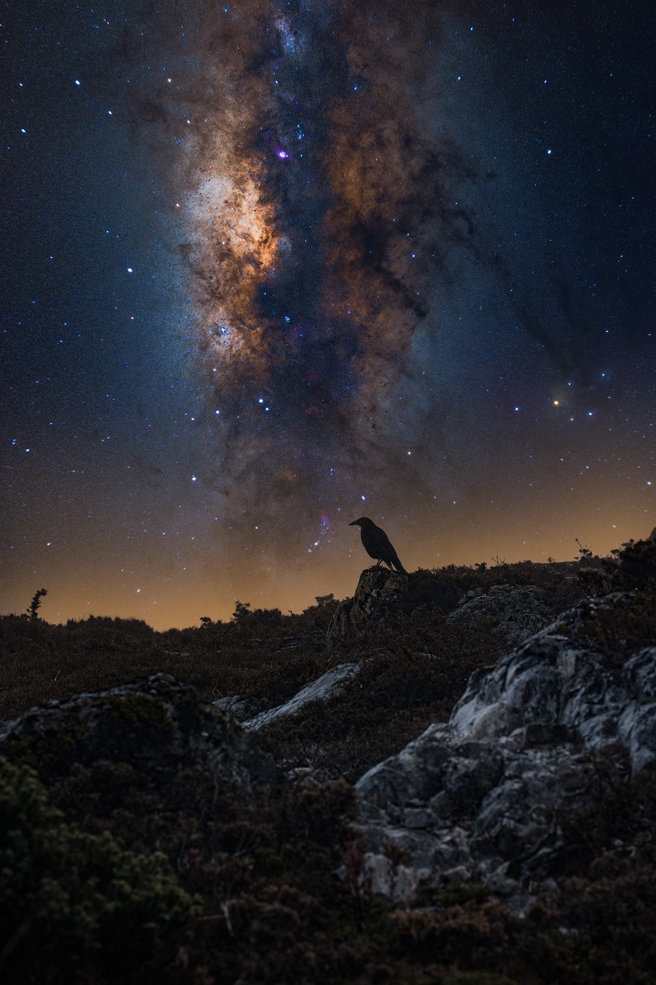 Stars outlasting the night above a lone subject