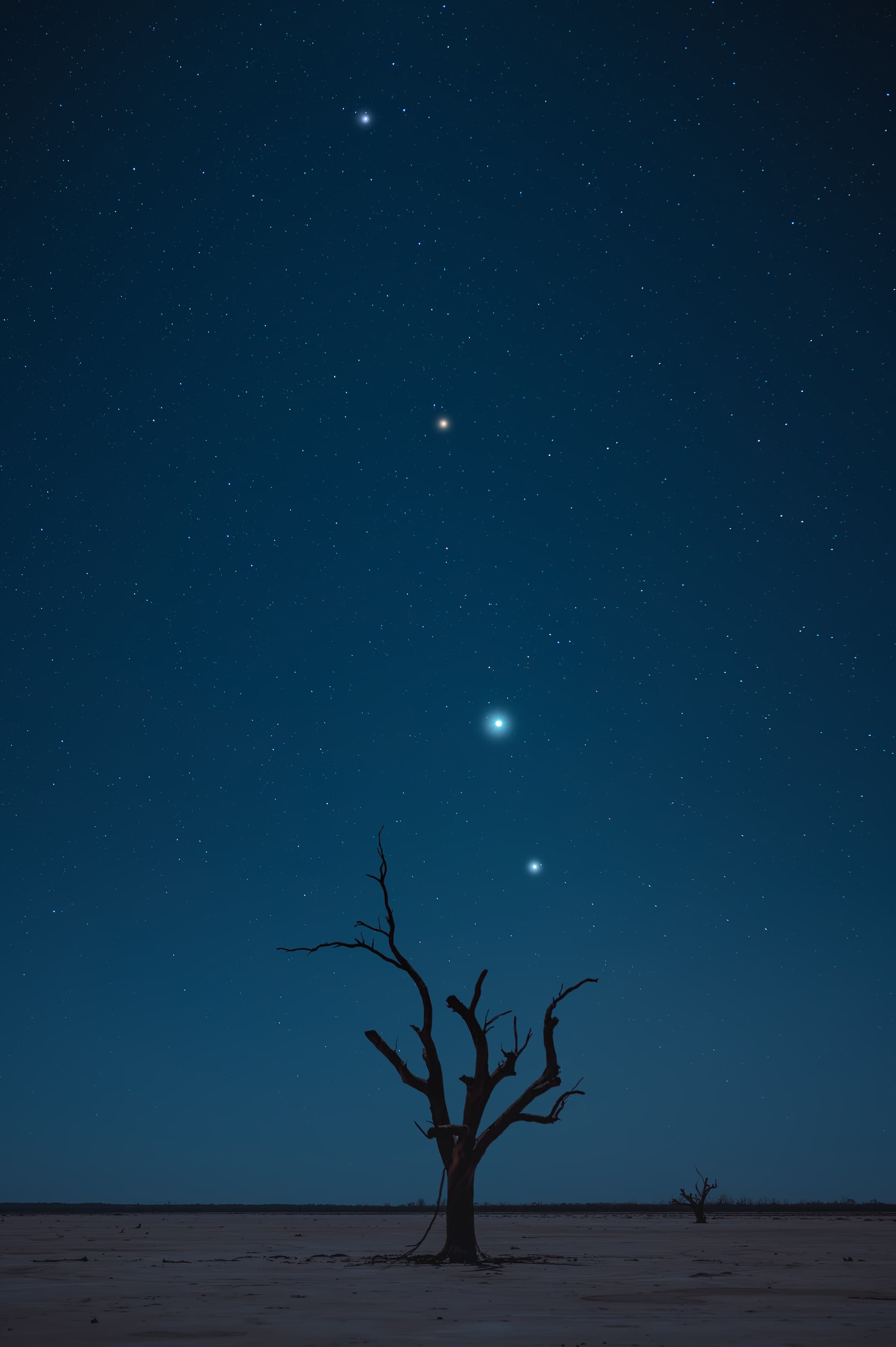 Rare planet alignment visible in the night sky